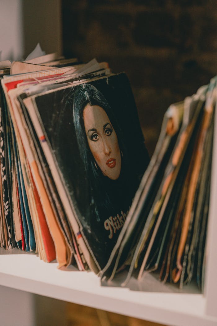 Collection of vintage vinyl records with various album covers neatly arranged on a white display shelf.